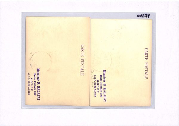 ALGERIA 1950 *FRENCH SAHARA EXPLORERS* Set{2} 1951 Stamp Day MAXI-CARD YF360 - Image 13