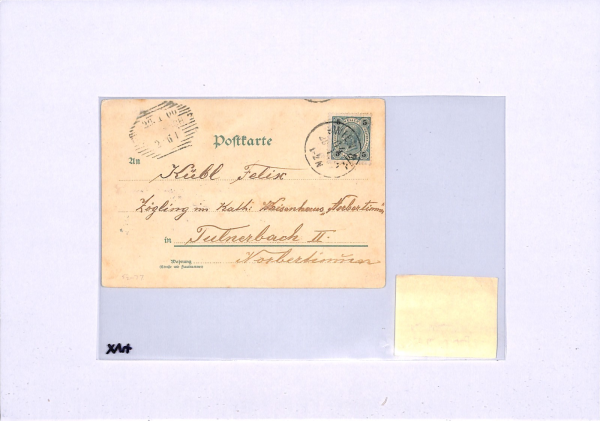 BOER WAR Postcard *ANTI-BRITISH PROPAGANDA* Blame DONKEYS 1900 Vienna XV4 - Image 13