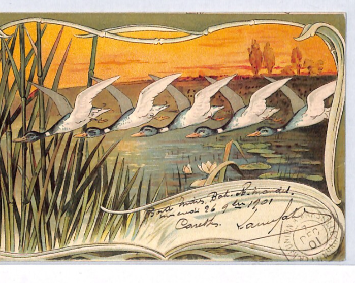 FRANCE Cols ART NOUVEAU Postcard Super *BIRDS* Design 1901 PAQUEBOT PX245 - Image 4