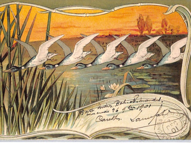 FRANCE Cols ART NOUVEAU Postcard Super *BIRDS* Design 1901 PAQUEBOT PX245 - Image 6