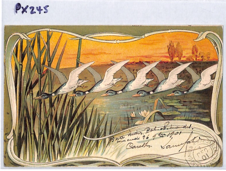 FRANCE Cols ART NOUVEAU Postcard Super *BIRDS* Design 1901 PAQUEBOT PX245 - Image 7