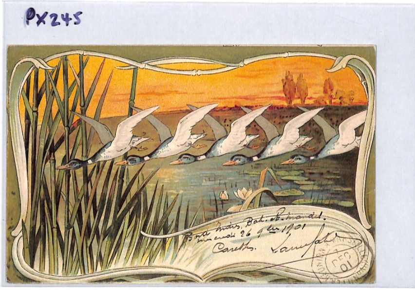 FRANCE Cols ART NOUVEAU Postcard Super *BIRDS* Design 1901 PAQUEBOT PX245 - Image 9