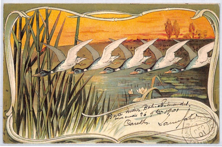 FRANCE Cols ART NOUVEAU Postcard Super *BIRDS* Design 1901 PAQUEBOT PX245