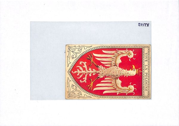 FRANCE/POLAND WW1 Card Lyon *VIVE LA POLOGNE* Labels Hospital Paris 1916 XT173 - Image 6