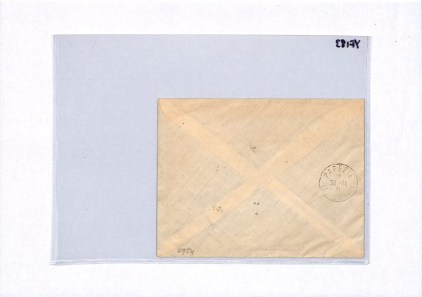 FRENCH POLYNESIA Cover *TUAMOTU* 1931 CDS Tahiti France Cols {samwells}YF183 - Image 13
