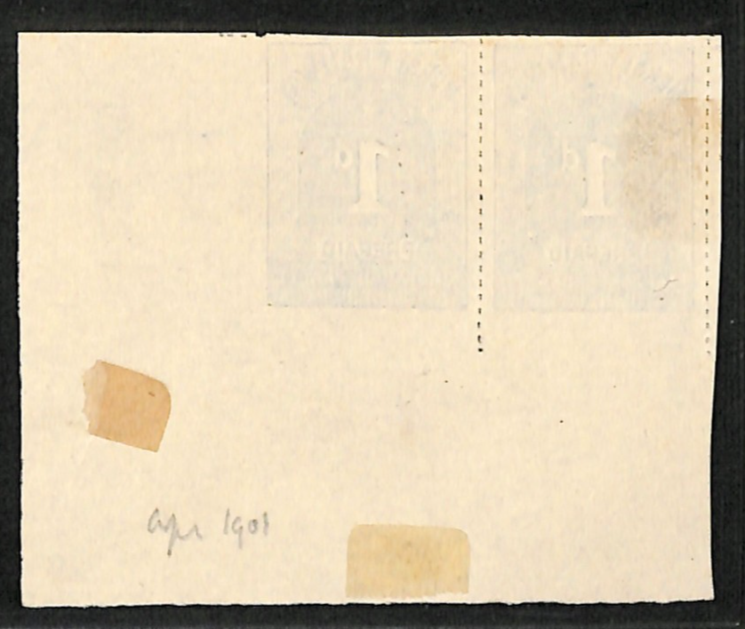 GB MERSEY RAILWAY Newspaper Parcel Stamp IMPERF PAIR 1d *PLATE PROOF* MNG VB20 - Image 3