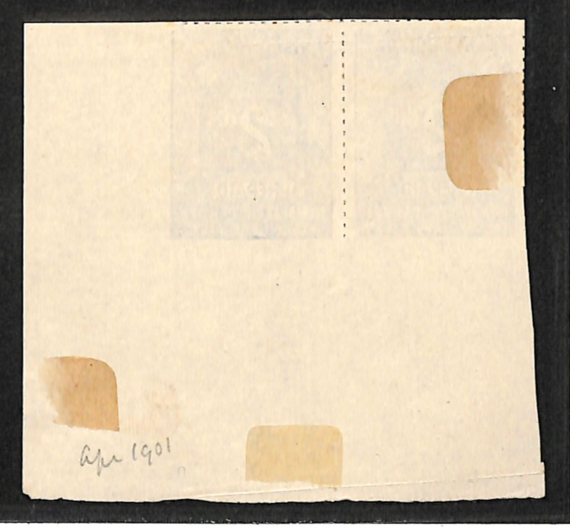 GB MERSEY RAILWAY Newspaper Parcel Stamp IMPERF PAIR 2d *PLATE PROOF* MNG VB21 - Image 3