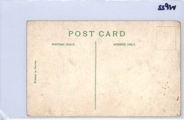 GB SUFFRAGETTE *Votes for Women* Postcard ART COMIC Unused {samwells-covers}WP22 - Image 11