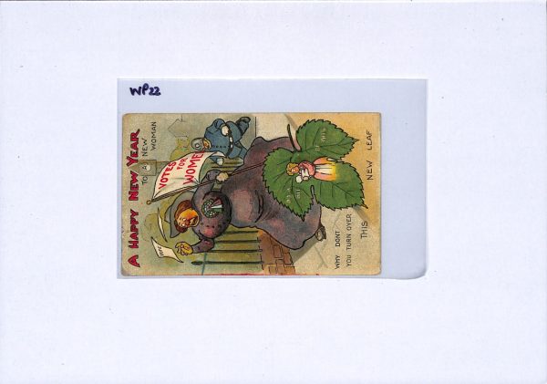 GB SUFFRAGETTE *Votes for Women* Postcard ART COMIC Unused {samwells-covers}WP22 - Image 12