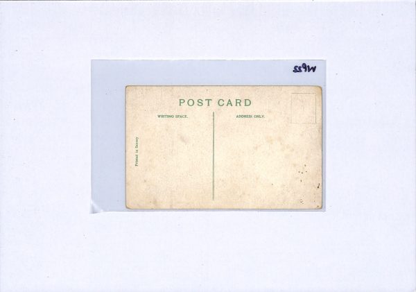 GB SUFFRAGETTE *Votes for Women* Postcard ART COMIC Unused {samwells-covers}WP22 - Image 13