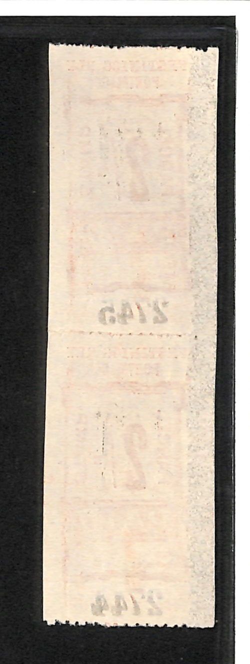 GB Wales FESTINIOG RAILWAY Parcel Stamp 2s *PORTMADOC* STATION Mint PAIR VB9 - Image 21