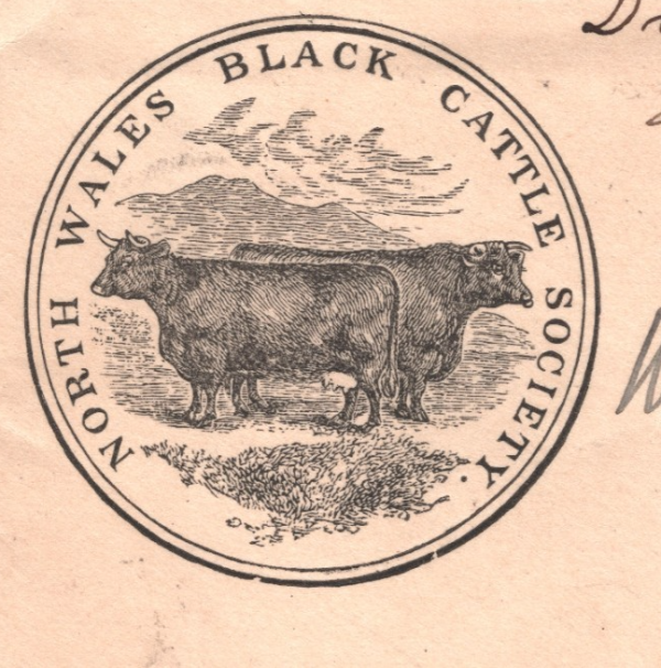 GB Wales KEVII ADVERT Cover *BLACK CATTLE* ILLUSTRATED Bangor 1902 FARMING XG184 - Image 12