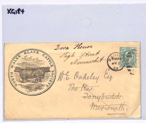 GB Wales KEVII ADVERT Cover *BLACK CATTLE* ILLUSTRATED Bangor 1902 FARMING XG184 - Image 13
