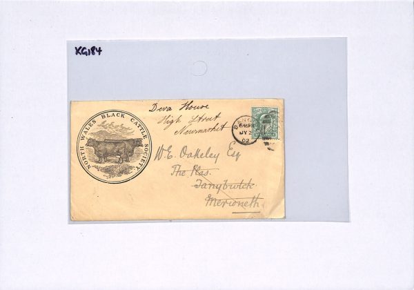 GB Wales KEVII ADVERT Cover *BLACK CATTLE* ILLUSTRATED Bangor 1902 FARMING XG184 - Image 15