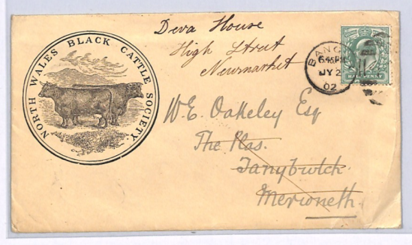 GB Wales KEVII ADVERT Cover *BLACK CATTLE* ILLUSTRATED Bangor 1902 FARMING XG184 - Image 5