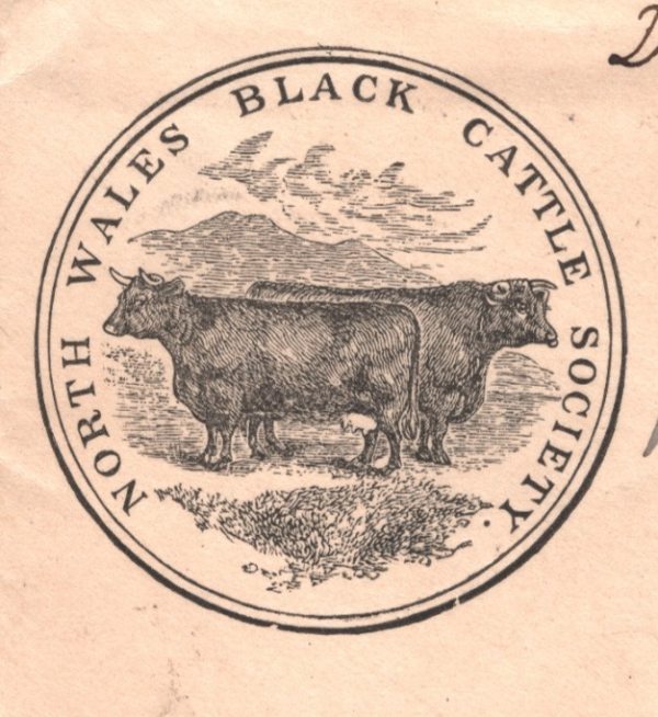 GB Wales KEVII ADVERT Cover *BLACK CATTLE* ILLUSTRATED Bangor 1902 FARMING XG184 - Image 7