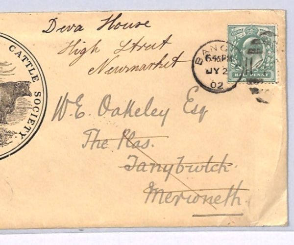 GB Wales KEVII ADVERT Cover *BLACK CATTLE* ILLUSTRATED Bangor 1902 FARMING XG184 - Image 9