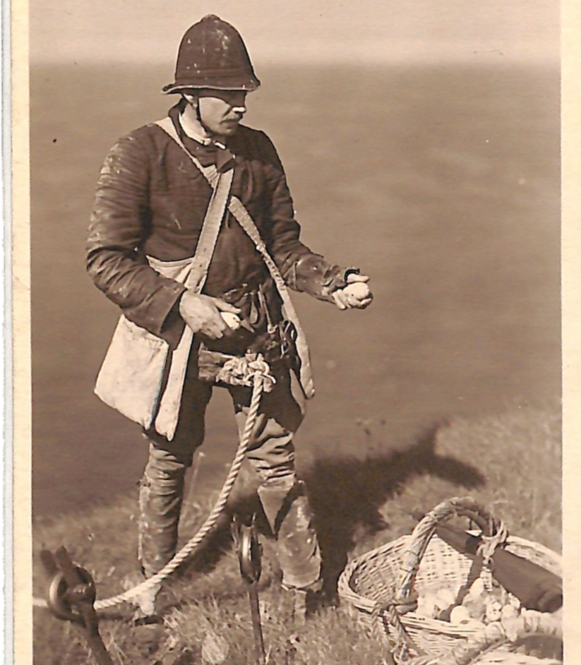 GB Yorks Postcard *BEMPTON CLIFF CLIMBER* Real Photo BIRDS EGGS {samwells}VP39