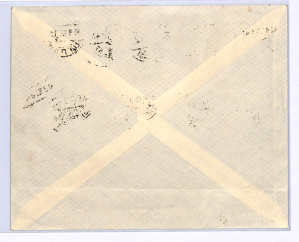 GERMANY Cover 1922 Air Mail *CARRIER PIGEON* Set 5m Leipzig-Bremen BIRDS XF326 - Image 5