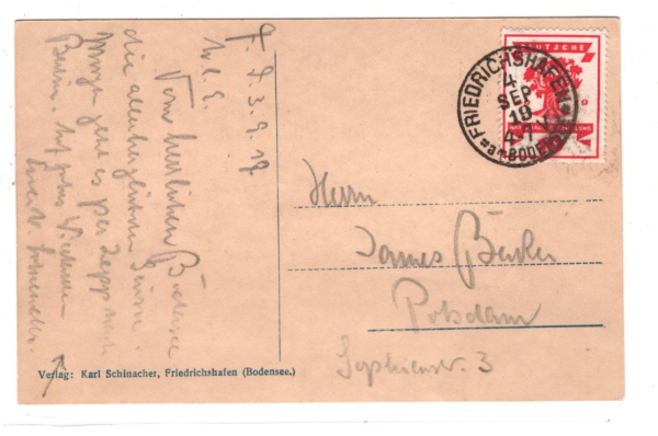 GERMANY ZEPPELIN Card 10pf *WEIMAR REPUBLIC* TREE 1919 Friedrichshafen CDS KZ307 - Image 4