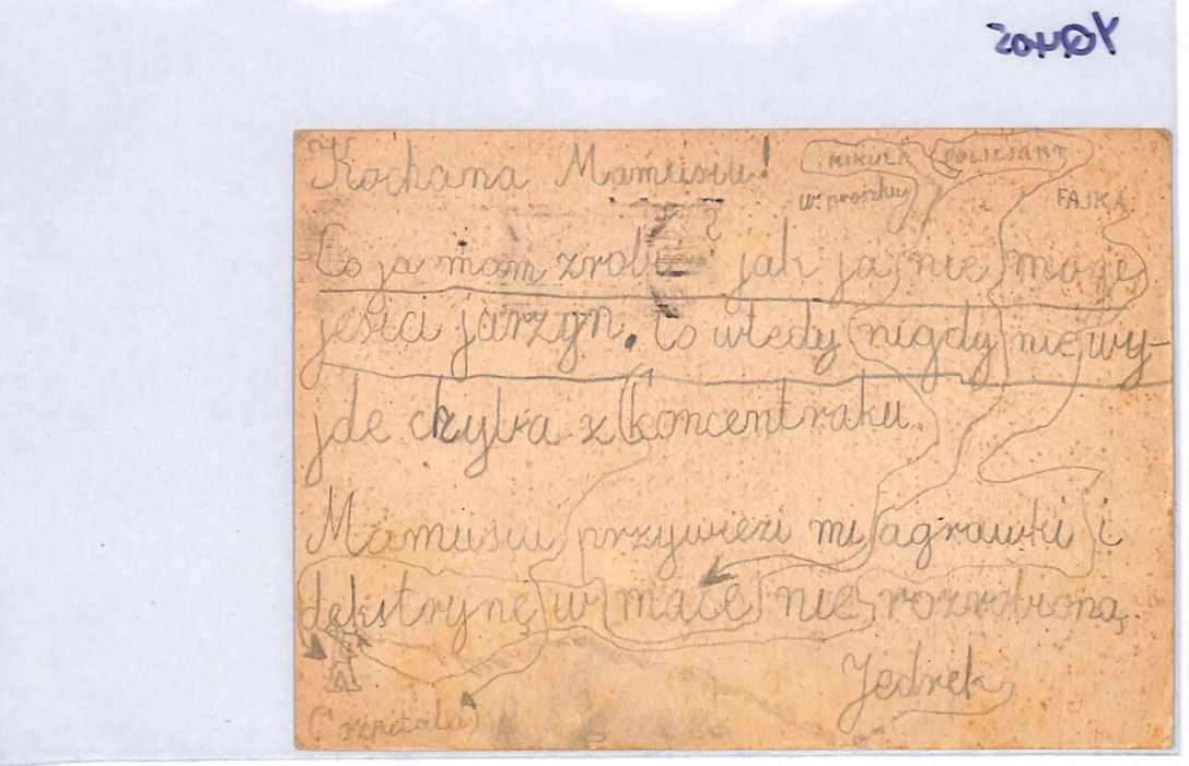 JUDAICA Austria WW2 SLOGAN Card Polish Message 1943 *LISSAK* JEWISH FAMILY YQ405 - Image 11