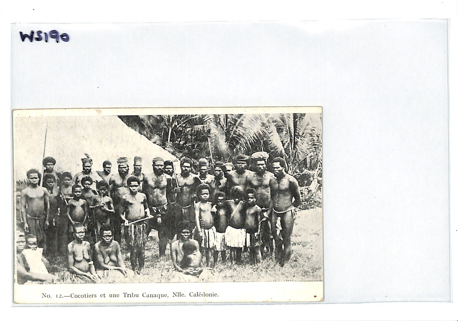 NEW CALEDONIA France Cols Postcard ETHNIC PPC Kanak Tribe COCOTIERS Unused WS190 - Image 4