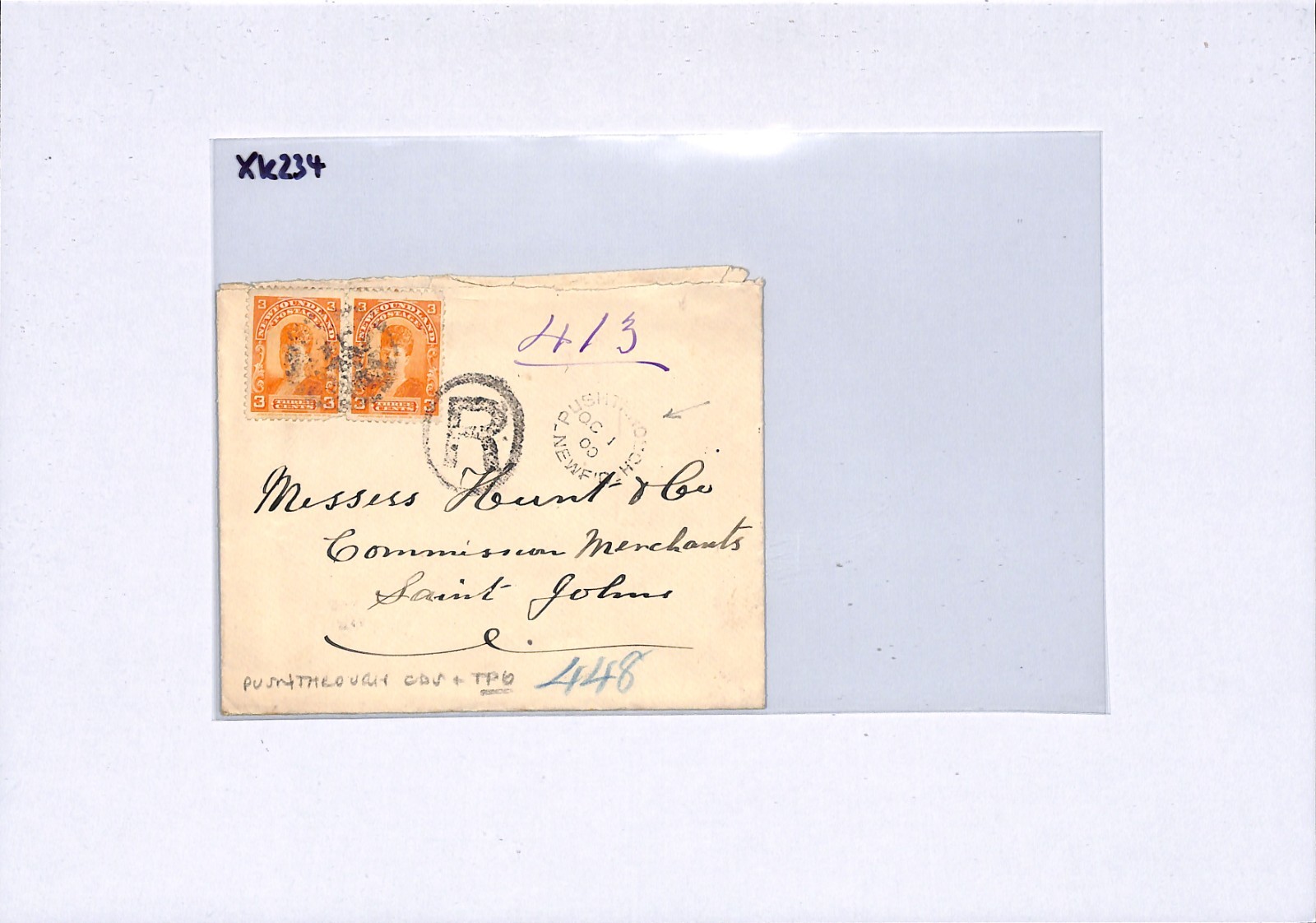 NEWFOUNDLAND RAILWAY Cover *PUSHTHROUGH* 1900 CDS Coastal TPO West FISHING XK234 - Image 5