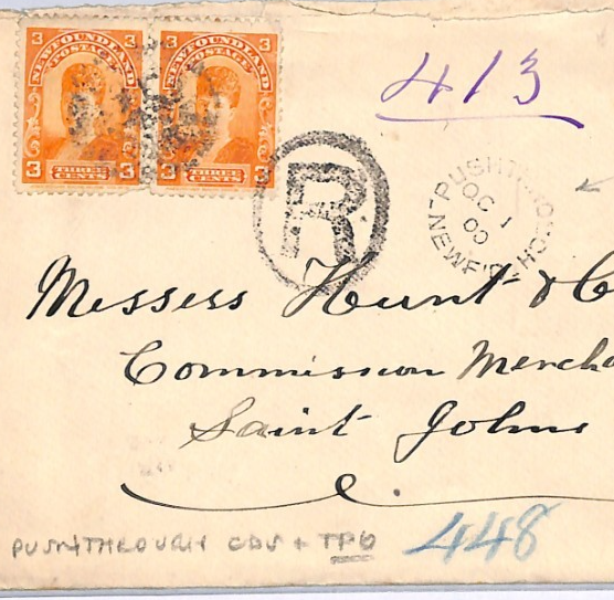 NEWFOUNDLAND RAILWAY Cover *PUSHTHROUGH* 1900 CDS Coastal TPO West FISHING XK234