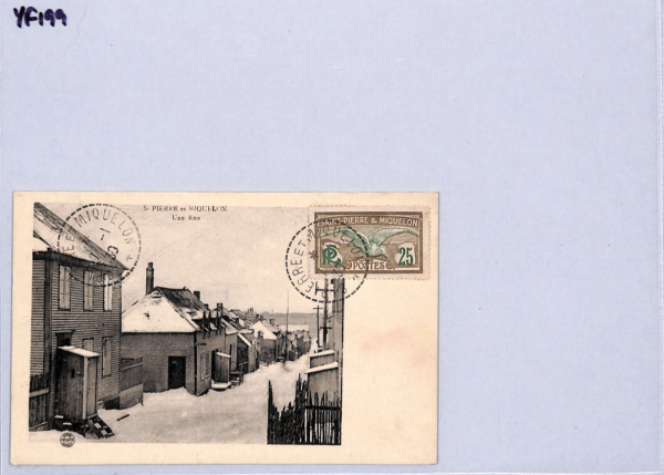 SAINT PIERRE & MIQUELON Street SNOW Postcard 1930 VIEW-SIDE France BIRDS YF199 - Image 11