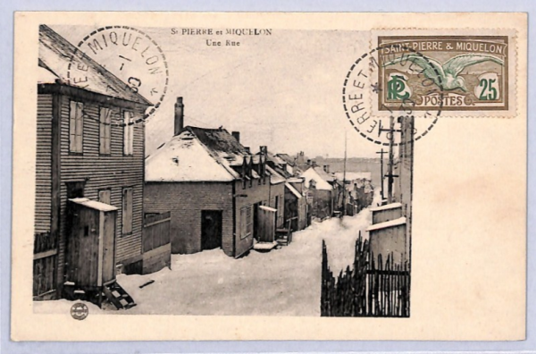 SAINT PIERRE & MIQUELON Street SNOW Postcard 1930 VIEW-SIDE France BIRDS YF199 - Image 3