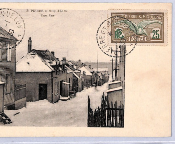 SAINT PIERRE & MIQUELON Street SNOW Postcard 1930 VIEW-SIDE France BIRDS YF199