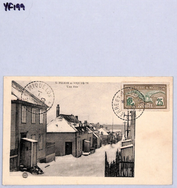 SAINT PIERRE & MIQUELON Street SNOW Postcard 1930 VIEW-SIDE France BIRDS YF199 - Image 9