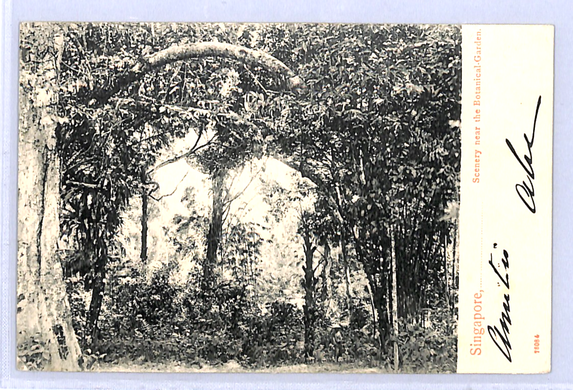 SINGAPORE Malaya Straits KEVII 3c Postcard 1904 French *PAQUEBOT* Octagonal WH26 - Image 5