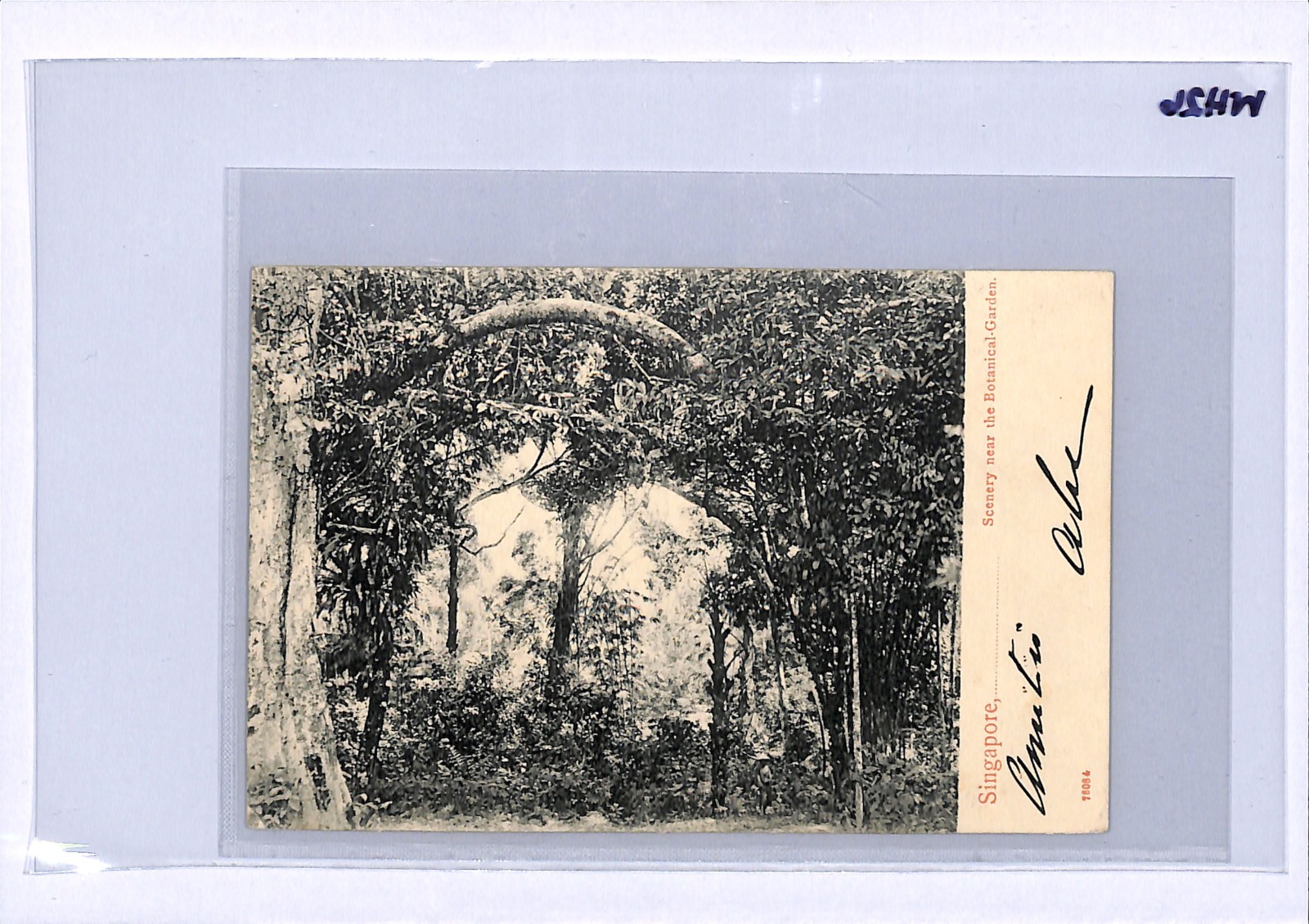 SINGAPORE Malaya Straits KEVII 3c Postcard 1904 French *PAQUEBOT* Octagonal WH26 - Image 7