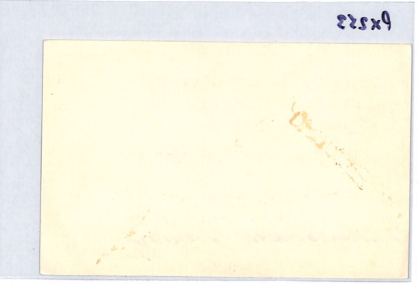 SWITZERLAND 10c Tell ADVERT STATIONERY Card Illustrated STRAWBERRY LenzburgPX253 - Image 9