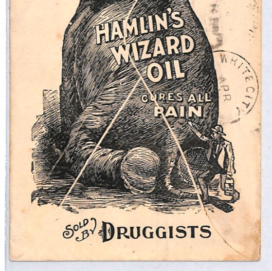 USA ELEPHANT Illustrated 1897 Cover *Hamlin Wizard Oil* Advert Stationery YH357 - Image 4