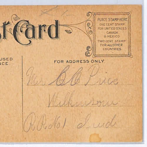 USA FISHING ART Postcard FOX Fisherman Caricature ANGLING {samwells-covers}WP298 - Image 8