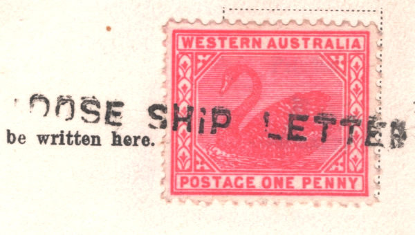 WESTERN AUSTRALIA 1d Swan Postcard *LOOSE SHIP LETTER* Adelaide PPC Penzance XK4
